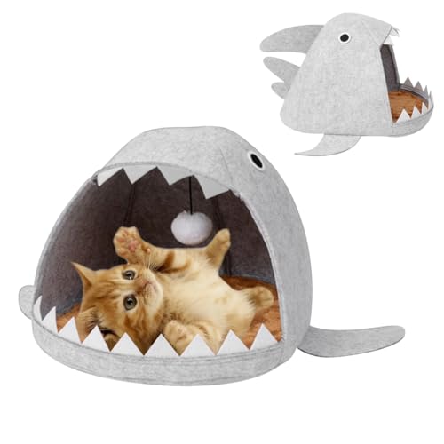 Qpets Cat Bed, Kawaii Cartoon Open Shark Mouth Cat Bed Felt Plush Cat Bed Soft Padded Cat Sleeping Bed Cat Mat Cat Nest with Plush Ball Hanging Toy Washable Cat Game Cave Cat Bed for All Season Qpets Cat Bed, Kawaii Cartoon Open Shark Mouth Cat Bed Felt Plush Cat Bed Soft Padded Cat Sleeping Bed Cat Mat Cat Nest with Plush Ball Hanging Toy Washable Cat Game Cave Cat Bed for All Season